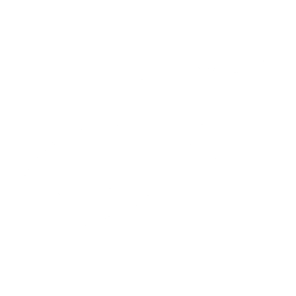 Pilot™